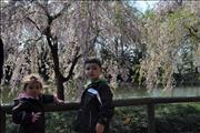 2010-04-11 10-52-56_0031